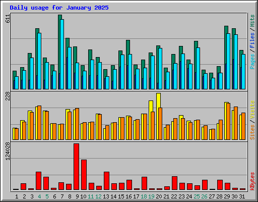 Daily usage for January 2025