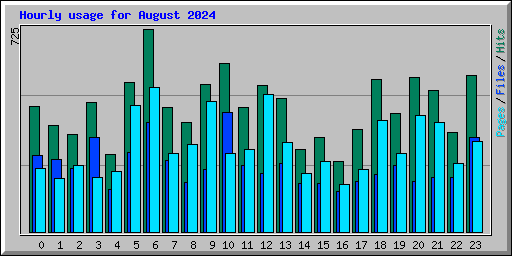 Hourly usage for August 2024