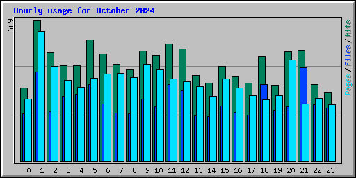 Hourly usage for October 2024