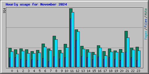 Hourly usage for November 2024