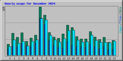 Hourly usage for December 2024