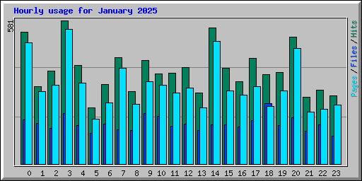 Hourly usage for January 2025