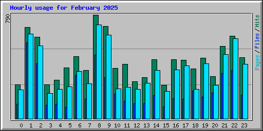 Hourly usage for February 2025
