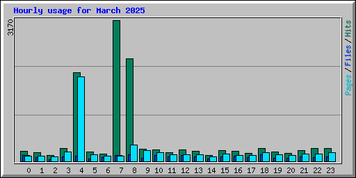 Hourly usage for March 2025