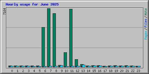 Hourly usage for June 2025