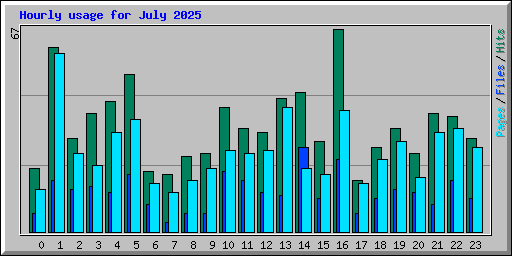 Hourly usage for July 2025