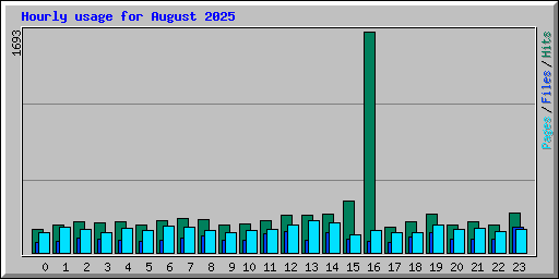 Hourly usage for August 2025