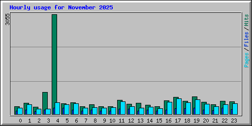 Hourly usage for November 2025