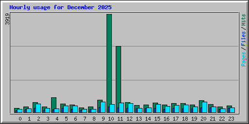 Hourly usage for December 2025