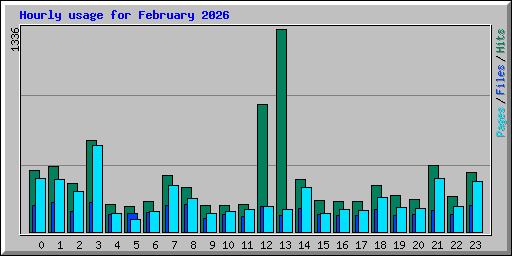 Hourly usage for February 2026